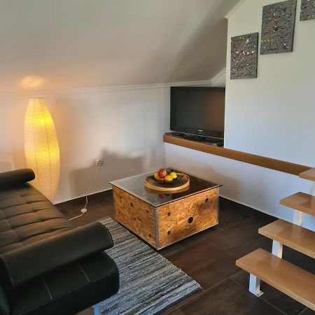 Apartment Marin Ogulin Eksteriør billede